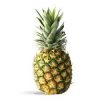 Fresh Pineapple Medium