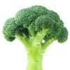 Broccoli Fresh